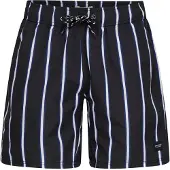 Blend Zwemshorts ' BHRick ' zwart