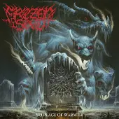 Sony music Frozen Soul- No Place of Warmth (LP)