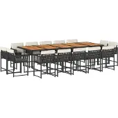 vidaXL 15-delige Tuinset met kussens poly rattan zwart