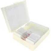 Konus Preparaten Set Voortplanting Van Planten (10 Stuks)