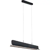 Paulmann LED hanglamp Noyan