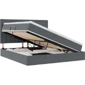 vidaXL LED opbergbed met matras Donkergrijs 180 x 200 cm Fluweel