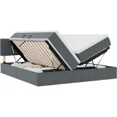 vidaXL LED opbergbed met matras Donkergrijs 200 x 200 cm Fluweel