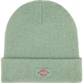 Dickies Muts 'Gigsland' lichtgroen