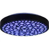 TRIO Reality - LED Plafondlamp - Plafondverlichting - 22W - Aanpasbare Kleur - RGB - Afstandsbediening - Dimbaar - Rond - Zwart - Kunststof