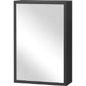 HOMCOM Spiegelschaaf voor de badkamer, model 834-552V00BK, hangende kast, wandkast, gemaakt van roestvrij staal, zwart, 40 x 15 x 60 cm