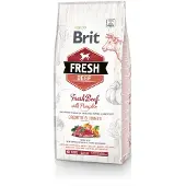 Brit Fresh Beef with Pumpkin - Puppy Large