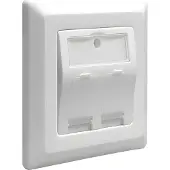 DeLOCK Keystone-wandplaat - 2-poorts - RJ45 snap-in