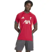 Adidas Tricot 'FC Liverpool Tiro 25 Competition' antraciet / mandarijn / rood / wit