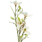 Viana Magnolia Perzik 85cm