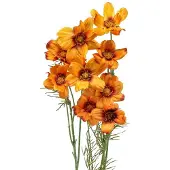 Viana Kunstbloemen Cosmea Oranje sieradenmandje H51cm 3 st