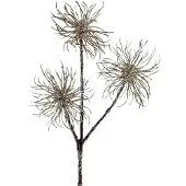 Viana Toverhazelaartak champagne 45cm 3 st