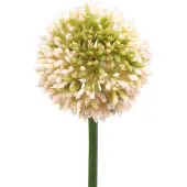 Viana Sier allium kunstroze / groen Ø8cm 58cm