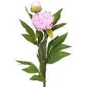 Viana Pioen kunstbloemen roze met lange steel 70cm 3st