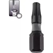 Dedra Torx Slagmoer Bits T15x25mm - Set van 10
