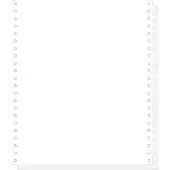 Exacompta Computerpapier eindeloos, 240 mm x 11" (27,94 cm) (240 x 279,4 mm)