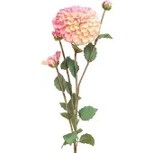 Viana Kunstdahlia's in perzikroze Ø10cm L80cm 2 stuks