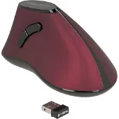 DeLOCK Ergonomische muis - Optisch - Draadloos - USB - Voor Rechtshandig
