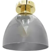 Toolight App1302-1C Plafonnière Goud 20X20X22Cm