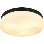 Globo Lighting Design plafonniere Vranos zwart voor buiten Ø 30cm