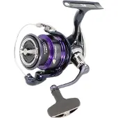 Daiwa Prorex X 24 Lt Spinning Reel Zilver 3000CXH