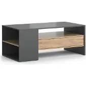 Vicco Fabien Salontafel – 110 x 60 cm Krachtige eik goud