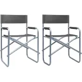Syfax Regisseursstoelen 2 st staal grijs