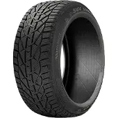 Riken 205/65R15 94T Winterband
