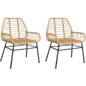 vidaXL Tuinstoel bruin poly rattan 2 st
