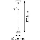Rabalux Vloerlamp DIANA 4067 van