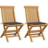 Syfax Inklapbare stoelen 2 st met antracietkleurige kussens