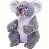 Sonstige Verlage Knuffel Artiest Koala, 38 cm