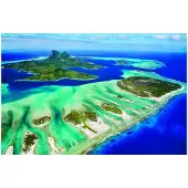 Eurographics Save the Planet! - Coral Reef Puzzel (1000 stukjes)