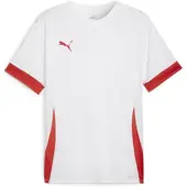 Puma Functioneel shirt 'TeamGoal Matchday' rood / wit
