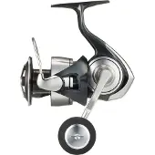 Daiwa Certate G 24 Sw Spinning Reel Zilver 6000H