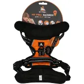 Spotted! Pro Harnas Oranje XS