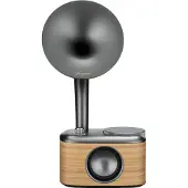 Sangean Radio DAB+ CP100DLG