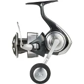 Daiwa Certate G 24 Sw Spinning Molen