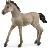 Schleich Horse Club Paarden 2022, Realistische Paardenspeelgoed voor Kinderen, Criollo Foal Beeldje, Leeftijd 5+