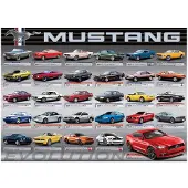 Eurographics Ford Mustang Evolution, 1000 stukjes, Voertuigen
