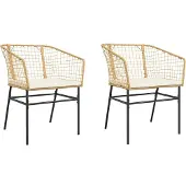 vidaXL Tuinstoelen 2 st met kussens poly rattan bruin