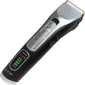 Comair Black Eagle Clipper