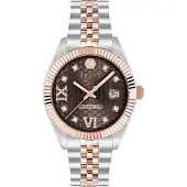Philipp Plein Watches Analoog horloge kastanjebruin / goud / zilver / transparant