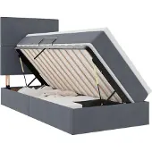 vidaXL Opslag bed met matras Donkergrijs 100 x 200 cm Fluweel