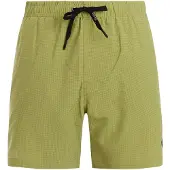 Protest Beachshort Men PRTAdonia Fern Green-L