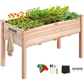 Vevor verhoogde plantenbak van hout met plank