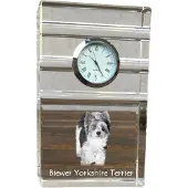 Art-Dog Klok – Biewer Yorkshire Terrier
