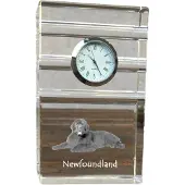 Art-Dog Klok – Newfoundlander