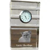 Art-Dog Klok – Exotische korthaar