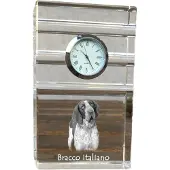 Art-Dog Klok – Bracco italiano